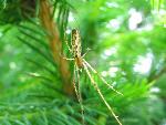 G-IMG_8798.JPG