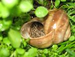 G-IMG_8844.JPG