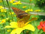 H-IMG_8994.JPG
