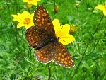 H-IMG_9000.JPG