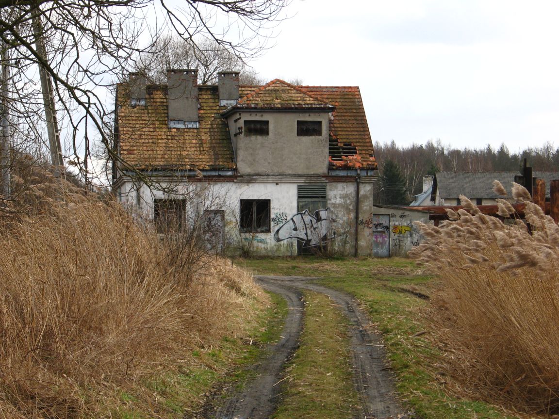20080223143834 zalesie gorne.jpg, galeria bessensu_1