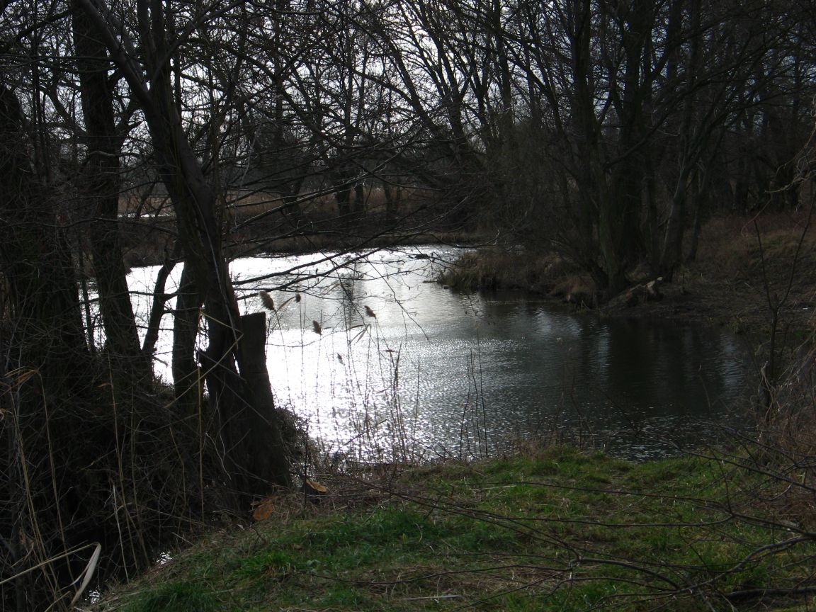 20080223144557 zalesie gorne.jpg, galeria bessensu_1