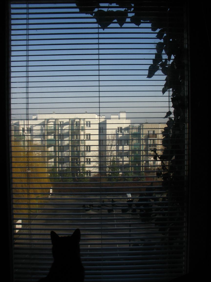 20080306081536_02.jpg, galeria bessensu_1