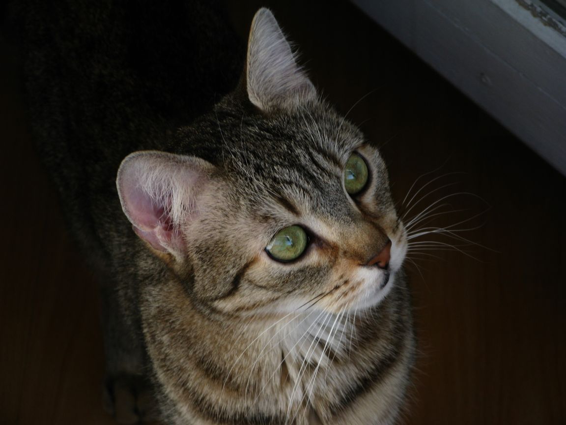 20080424082411 sepiel.jpg, galeria bessensu_1