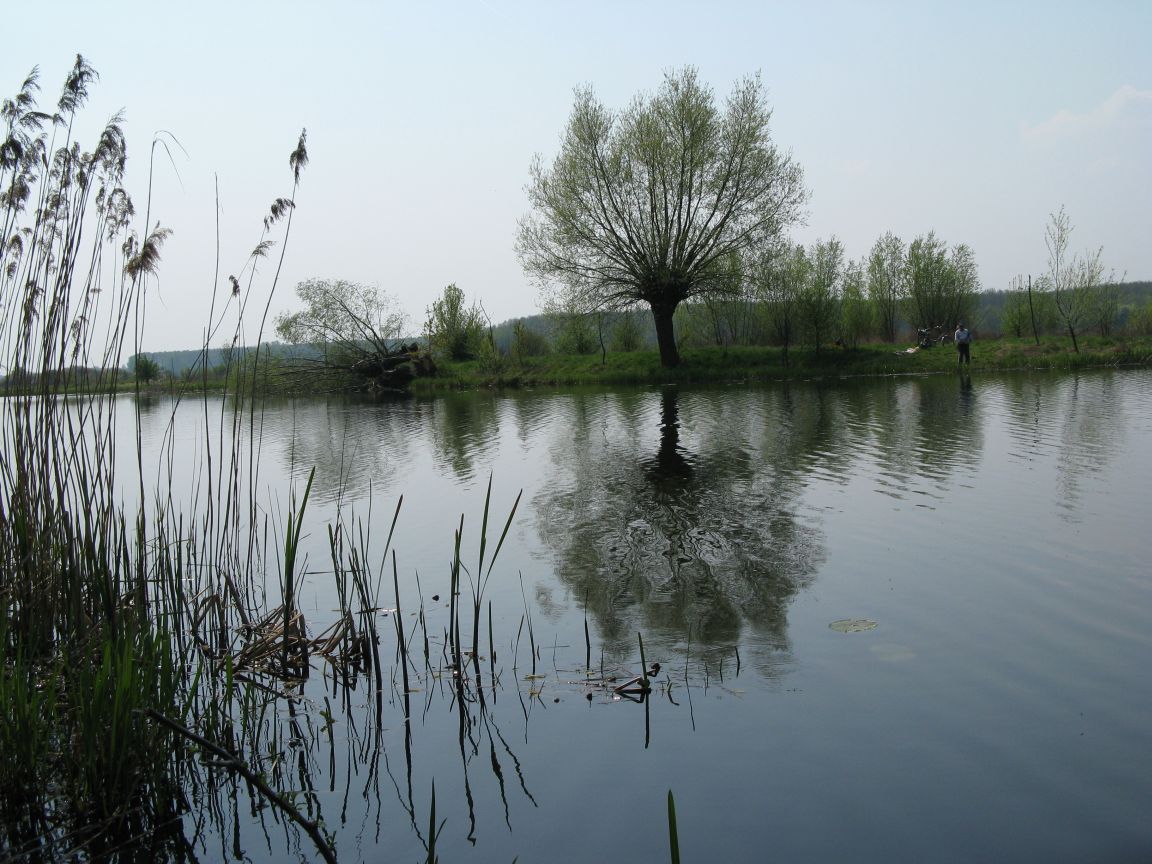 20080427114230 049.jpg, galeria bessensu_1