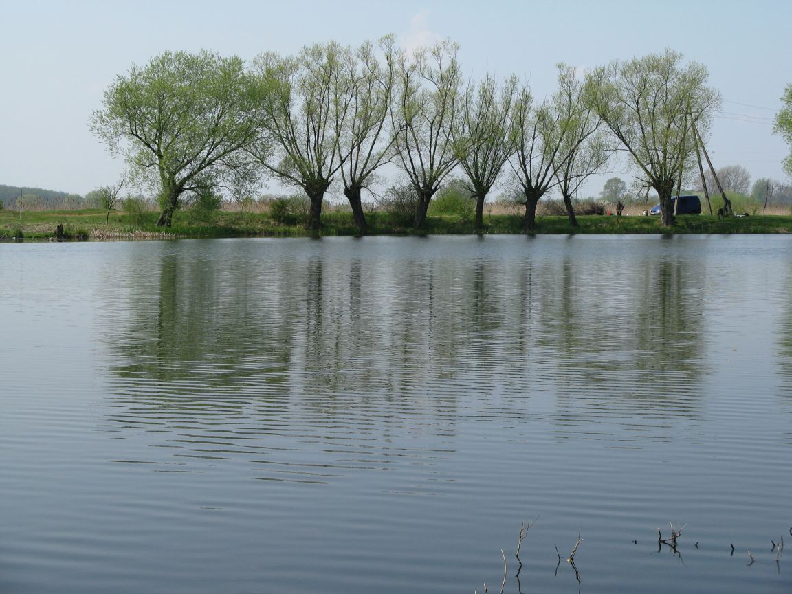 20080427114320 050.jpg, galeria bessensu_1