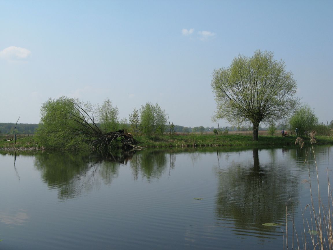 20080427114631 051.jpg, galeria bessensu_1