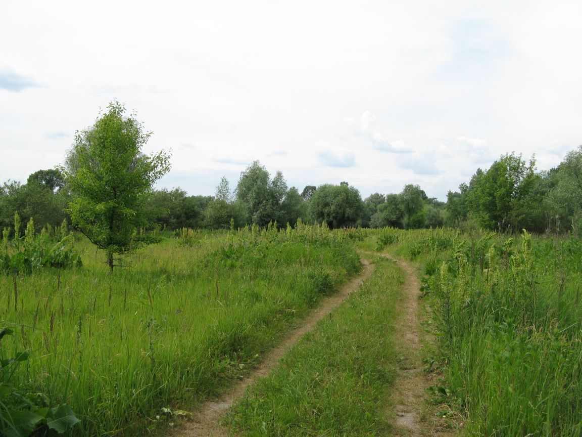 20080615145548_9.JPG, galeria bessensu_1