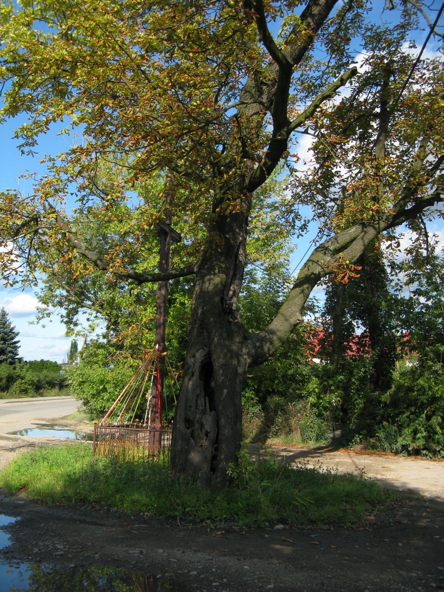20080831154159 na rozstaju drog.jpg, galeria bessensu_1