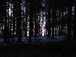 20080216164646 kampinos.jpg
