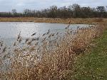 20080223143114 zalesie gorne.jpg