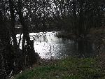 20080223144557 zalesie gorne.jpg