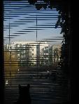20080306081536_02.jpg