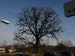 20080306090616_01.jpg