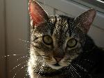20080424081751 maxi kazzz.jpg