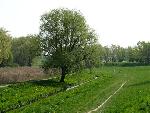 20080427102530 047.jpg