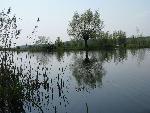20080427114230 049.jpg