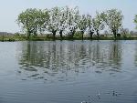 20080427114320 050.jpg