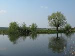 20080427114631 051.jpg