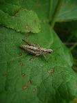 20080615145343_6.JPG