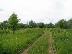 20080615145548_9.JPG