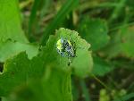 20080615145742_12.JPG
