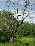 20080615151526_18.JPG