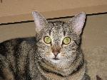 20080704075715 .jpg