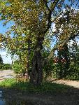 20080831154159 na rozstaju drog.jpg