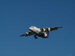 20080831171936 aeroplanes 16.jpg