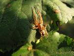 20080907151232_1.jpg