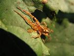 20080907151251_2.jpg