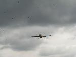 20080913152409 aeroplanes 011.jpg