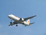 20080927134339 aeroplanes.jpg