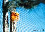 o_nicolas-hulot - for nature everyday is 9.11.jpg