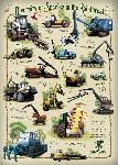 oroverde-rainforest-foundation-diversity-of-species-in-rainforest.jpg