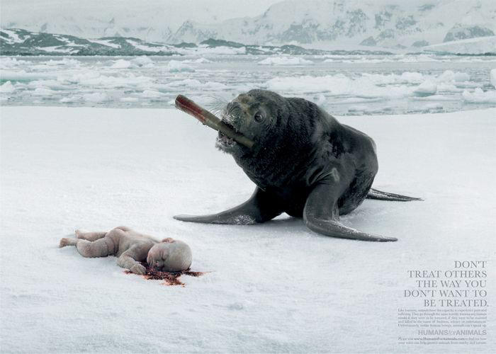 dont treat others the way you dont want to be treated - blame canada.jpg, galeria fakin_supah