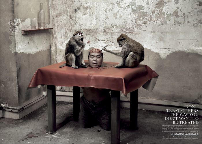 dont treat others the way you dont want to be treated - monkeys.jpg, galeria fakin_supah