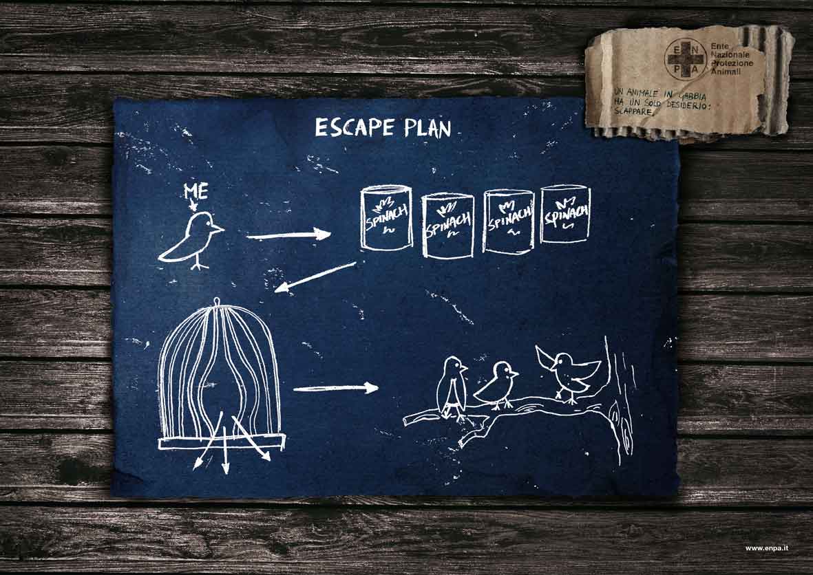enpa-bird-escape-plan.jpg, galeria fakin_supah