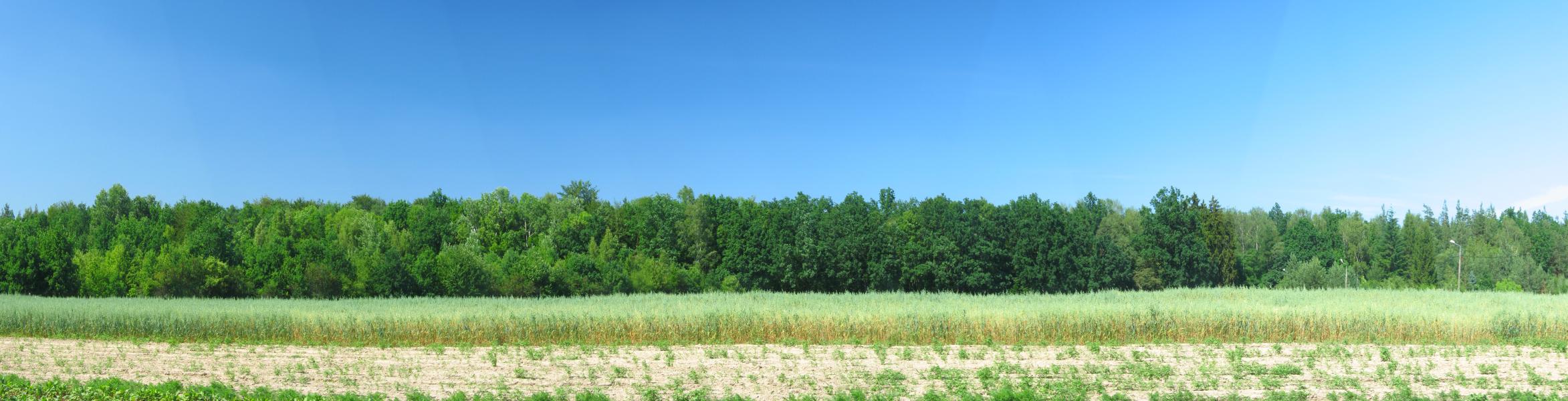 panorama las kabacki.jpg, galeria fakin_supah