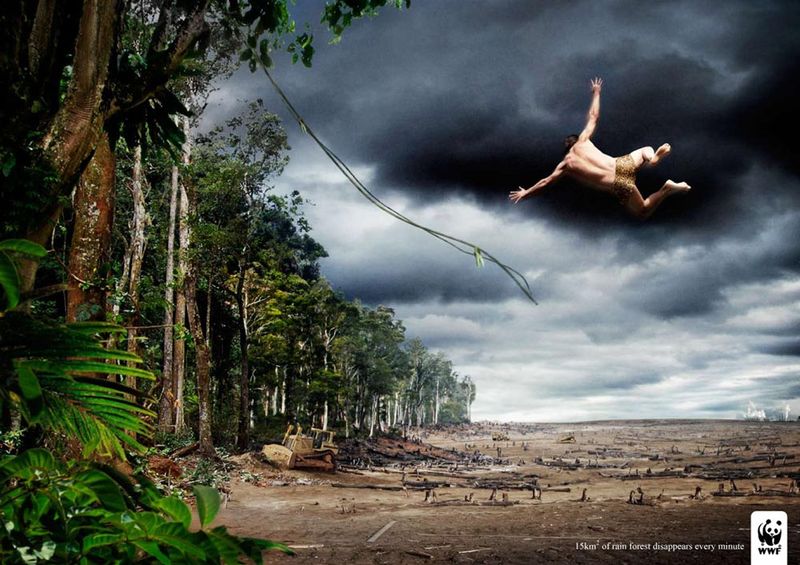 tarzan_wwf_rainforest.jpg, galeria fakin_supah