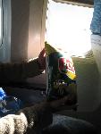 20060830_080642_260.jpg