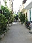 20060830_125916 - retymnon.jpg