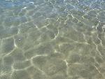20060831_092609 - jipki.jpg