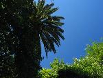 20060901_120310 - chania.jpg