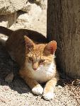 20060902_105220 - knossos.jpg