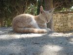 20060902_105402 - knossos.jpg