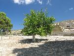 20060902_111632 - knossos.jpg