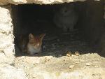 20060902_133920 - iraklion.jpg