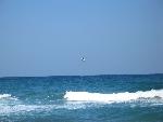 20060907_102639 - siurp.jpg